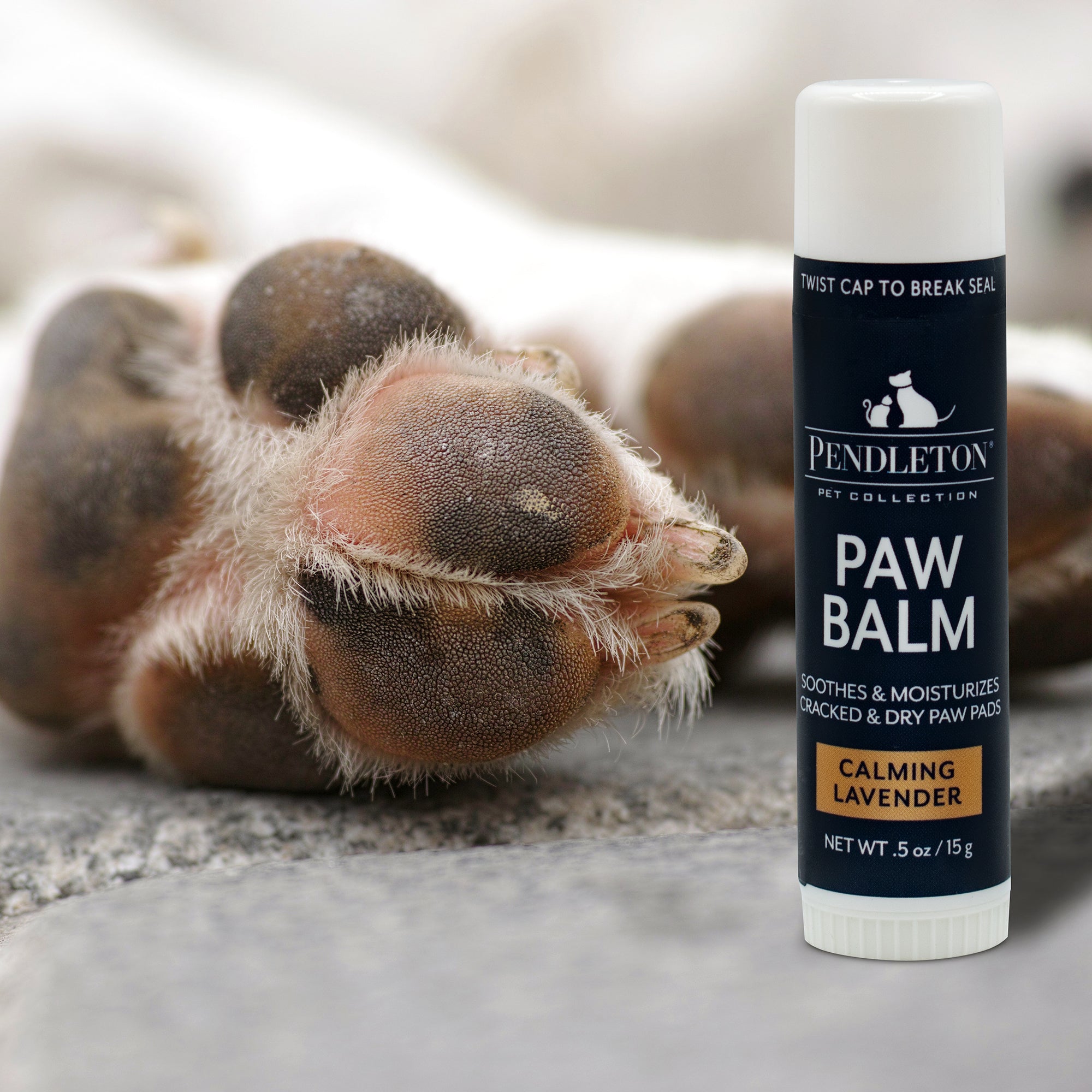 PENDLETON-PAW-BALM-GROOMING-WELLNESS6
