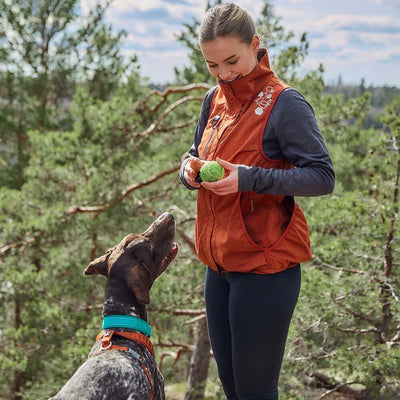dog-training-vest-jacket