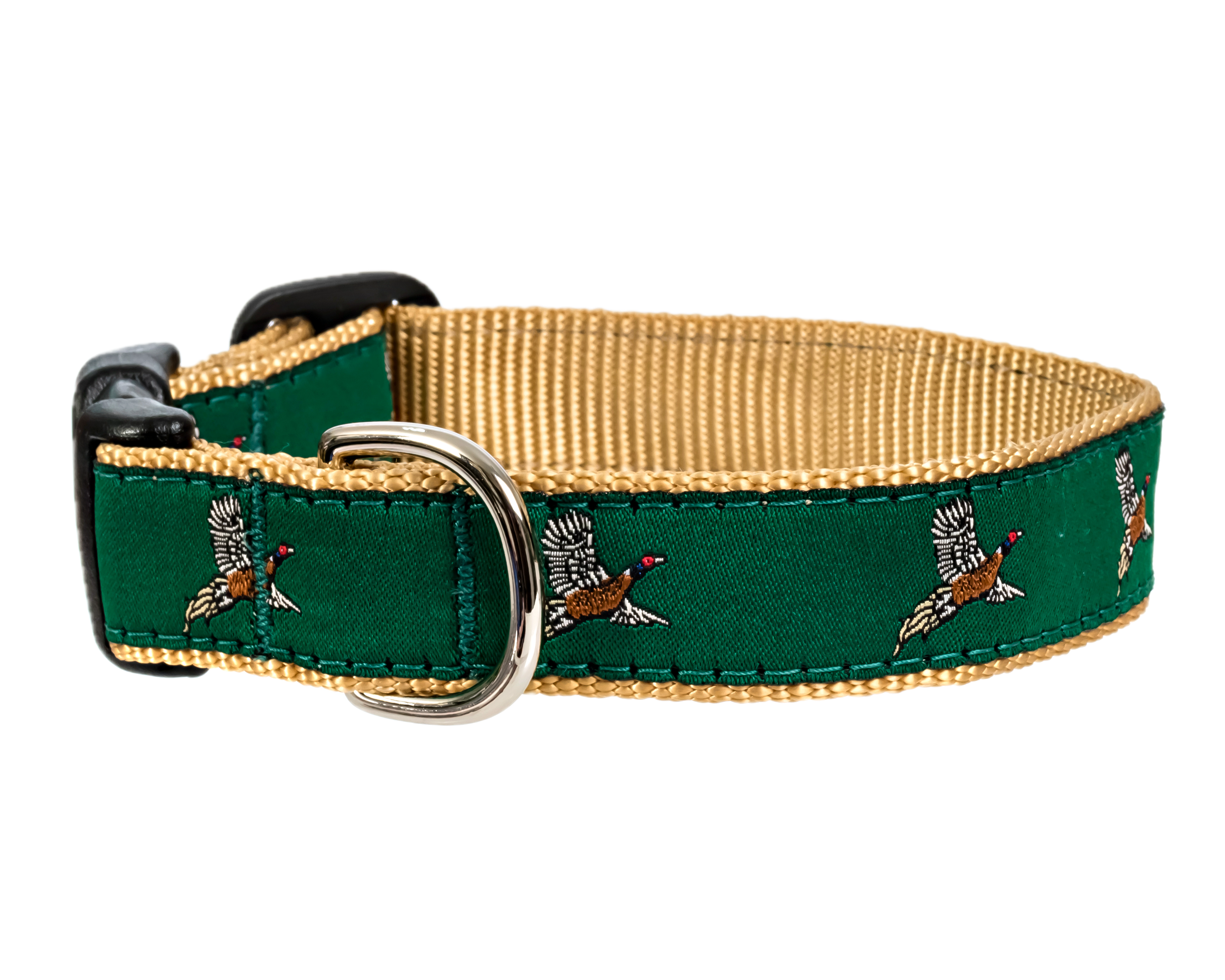 Dog Collars