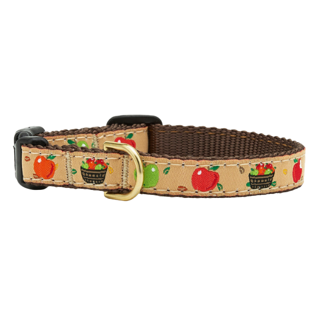 APPLE-OF-MY-EYE-DOG-COLLAR-SMALL-BREED-TEACUP