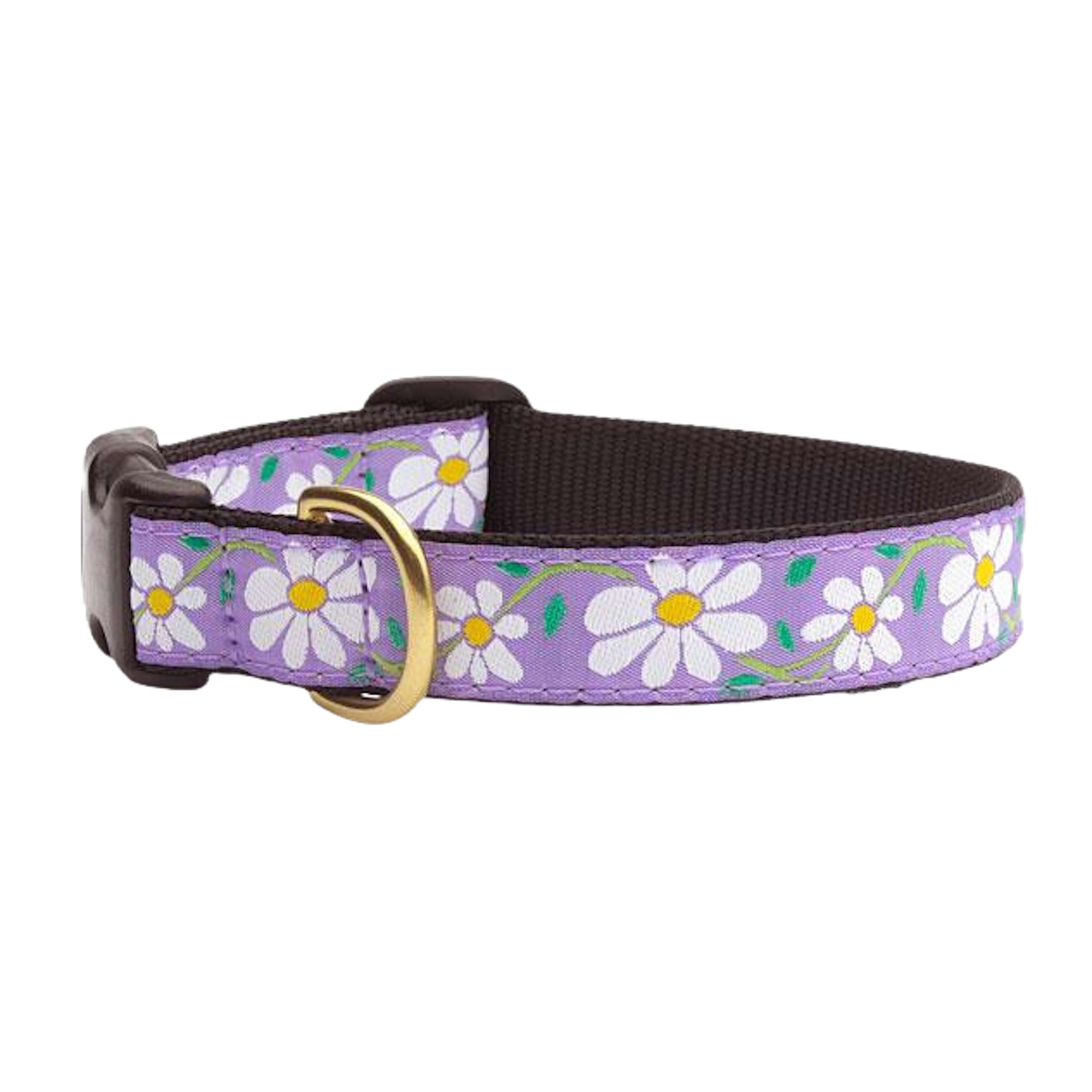 DAISY-DOG-COLLAR