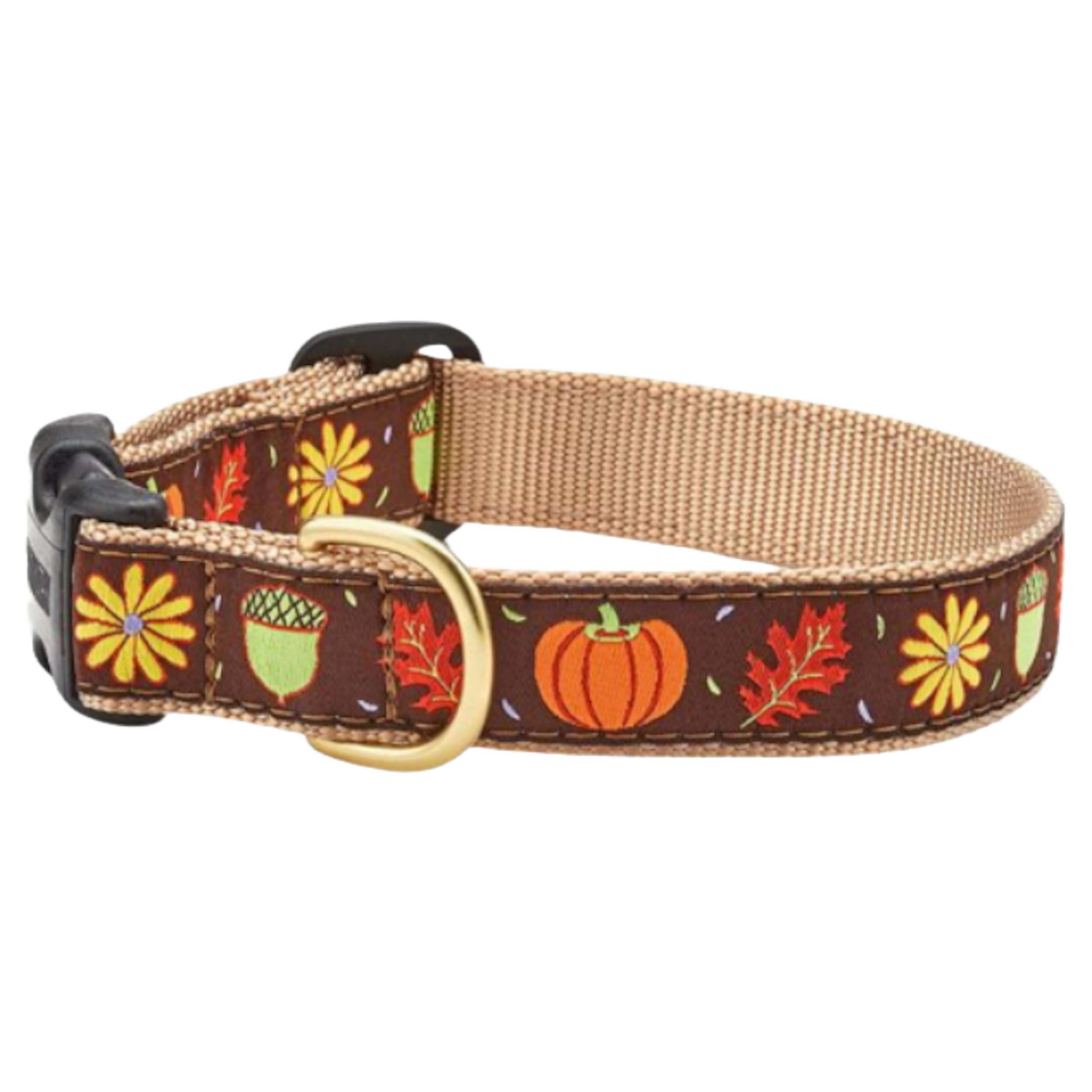 HARVEST-TIME-THANKSGIVING-DOG-COLLAR