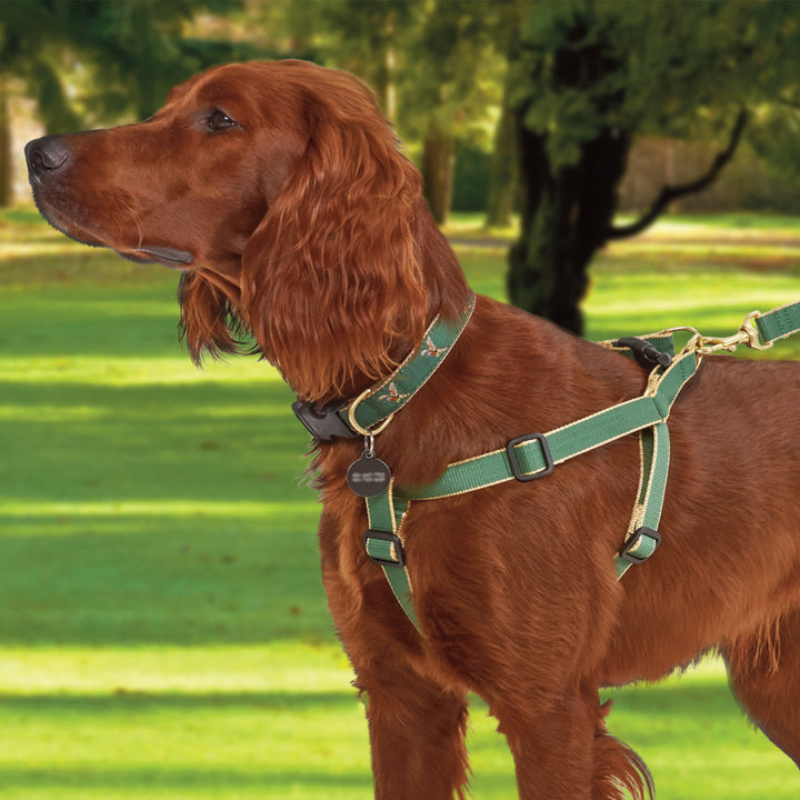 PHEASANT-FOREST-TAN-DOG-COLLAR-LEASH-HARNESS